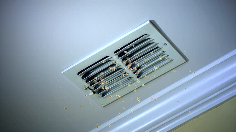 Best Home Air Vent Cleaning  in Kingsley, MI